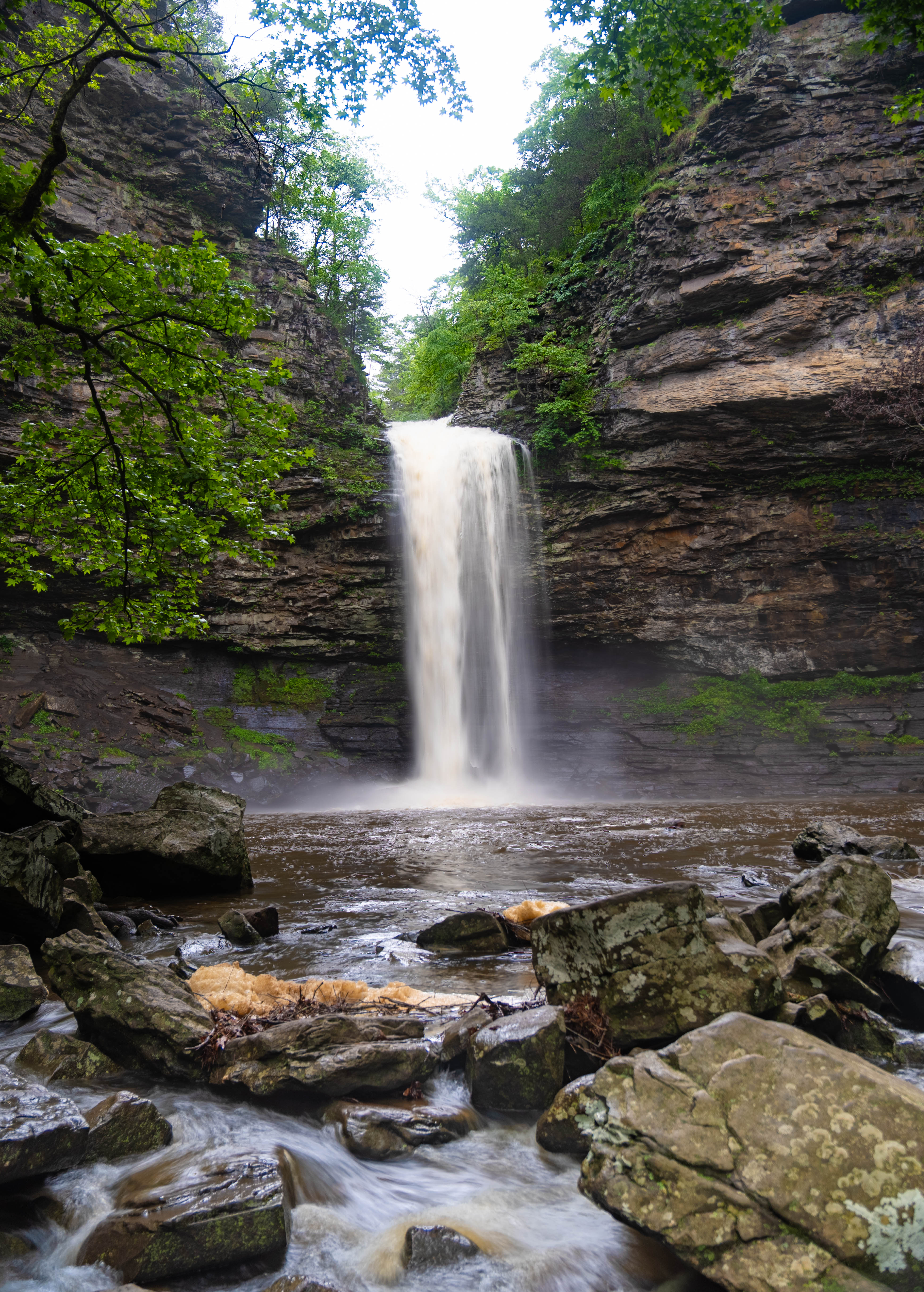 cedar-falls